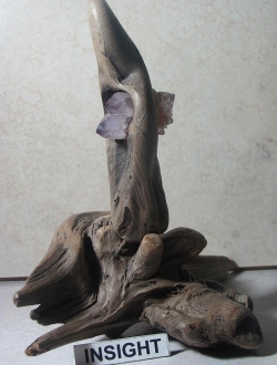 driftwood insight